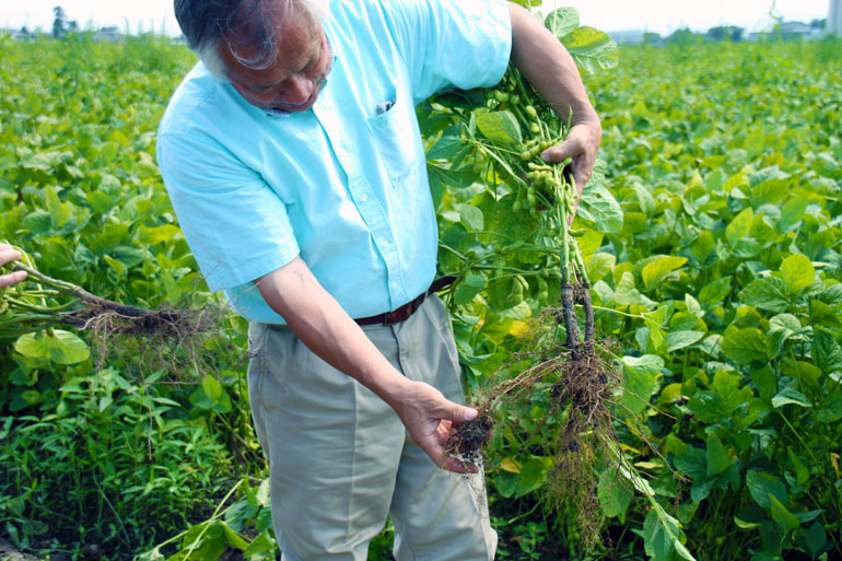 だだちゃ豆の栽培とは 生産者に訊く 味の農園