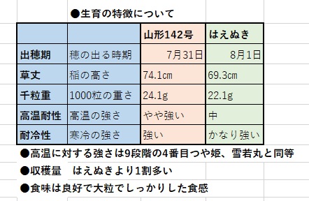 山形の新品種　はえぬき　山形142号