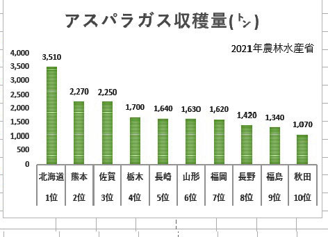 アスパラガス国内生産